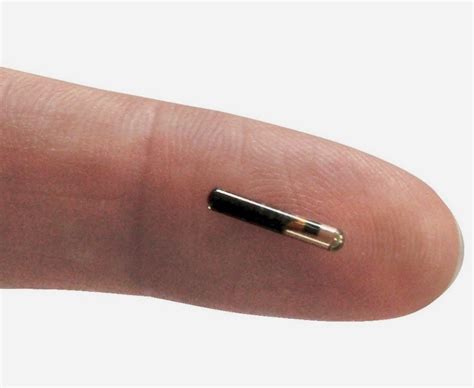 micro rfid chip for sale|chip for human identification.